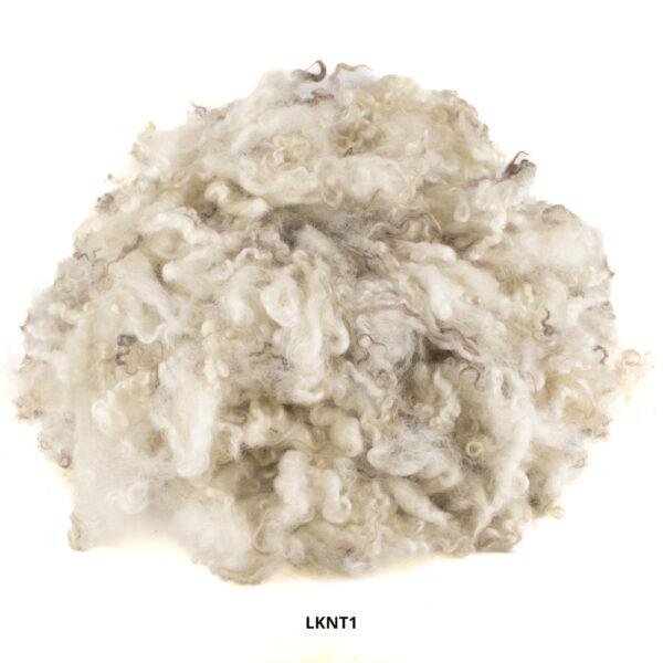 GOTLAND LOCKS NT1, Natural Off White - Light Grey
