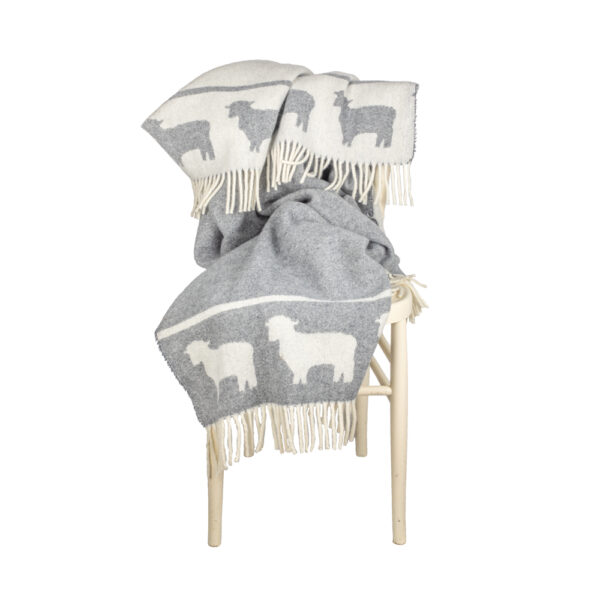 Romney Lambs Wool BLANKET - Sheep Design