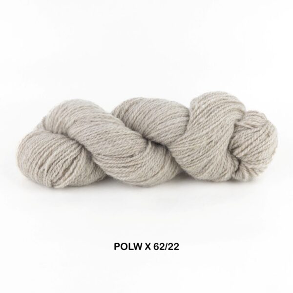 4 Ply - Polwarth